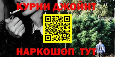 тгк Обь