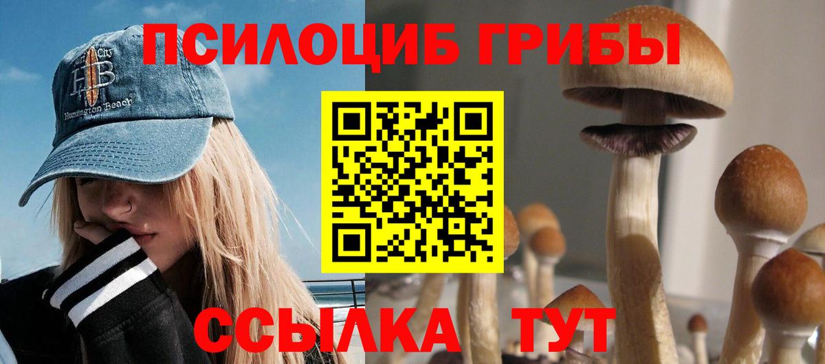 Псилоцибиновые грибы Psilocybe  Вход с VPN  Галлюциногенные грибы ЛСД  Сертолово 